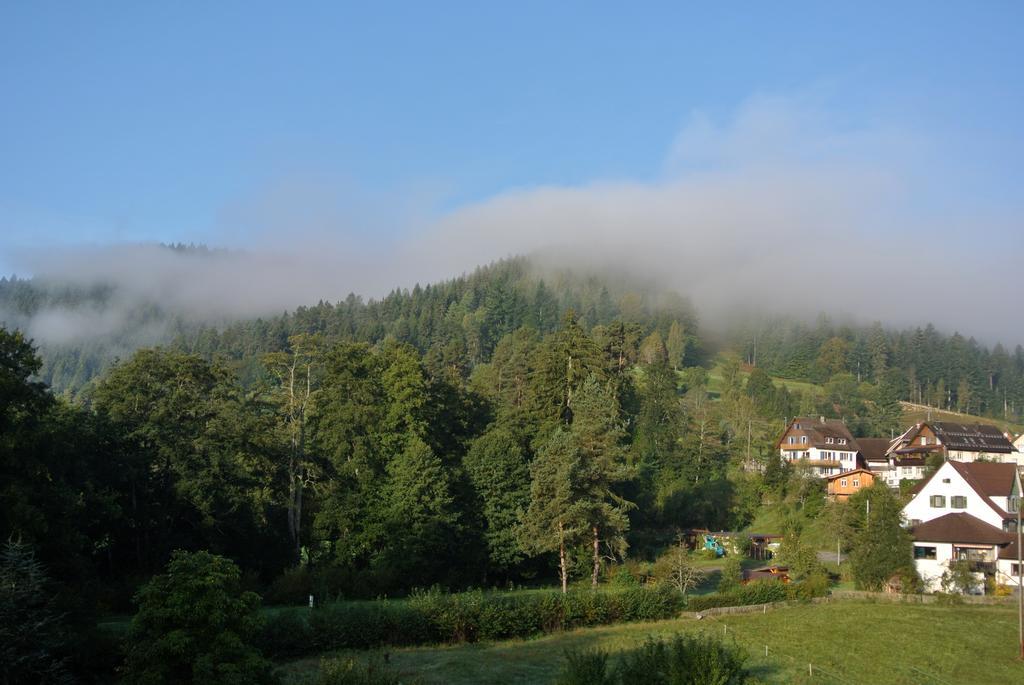 Hotel Enz Residenz Enzklösterle Exteriér fotografie