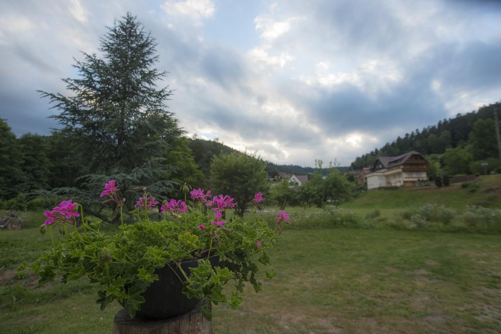 Hotel Enz Residenz Enzklösterle Exteriér fotografie