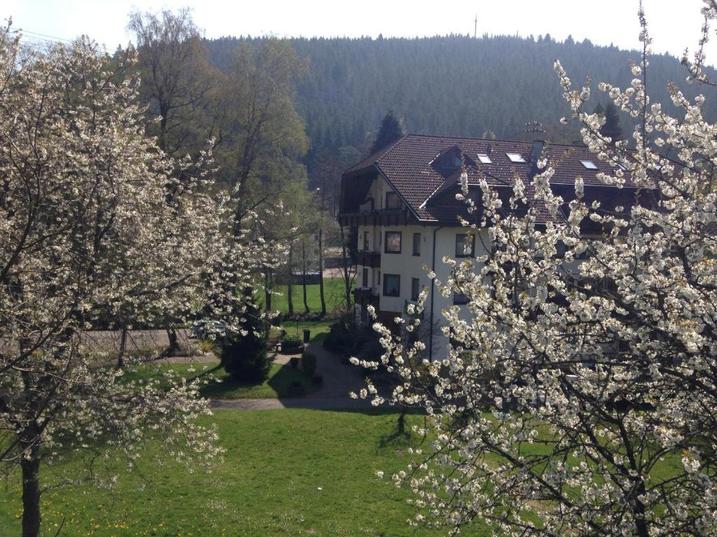 Hotel Enz Residenz Enzklösterle Exteriér fotografie